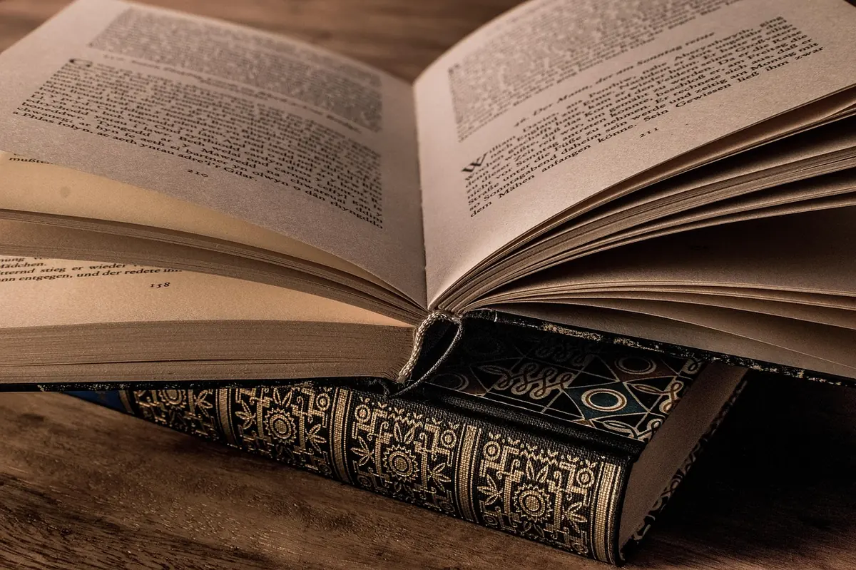 literature, a book, paper, side, wisdom, book stack, think, training, library, bookstore, research, novel, intelligence, workspace, stone, philosophy, poetry, emotion, knowledge, solution, decor, textbook, document, day, read, saying, old, hardcover, novel, philosophy, philosophy, philosophy, philosophy, philosophy, poetry, poetry, poetry - emotional intelligence