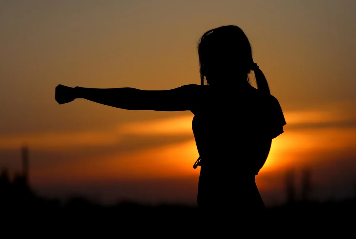 karate, sunset, fight, sports, silhouette, resistance, samurai, fit, girl, self-defense, nature, defense, fist, brown sunset, brown sports - positive discipline