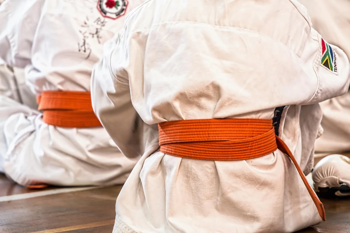 karate, martial arts, sport, belt, competition, defense, training, fitness, activity, workout, active, healthy, lifestyle, karate, karate, karate, karate, karate, martial arts, martial arts - positive discipline